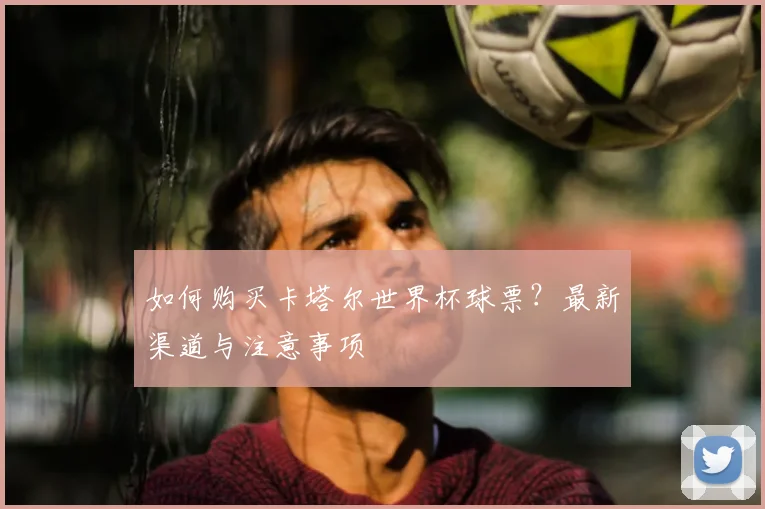 如何购买卡塔尔世界杯球票?最新渠道与注意事项